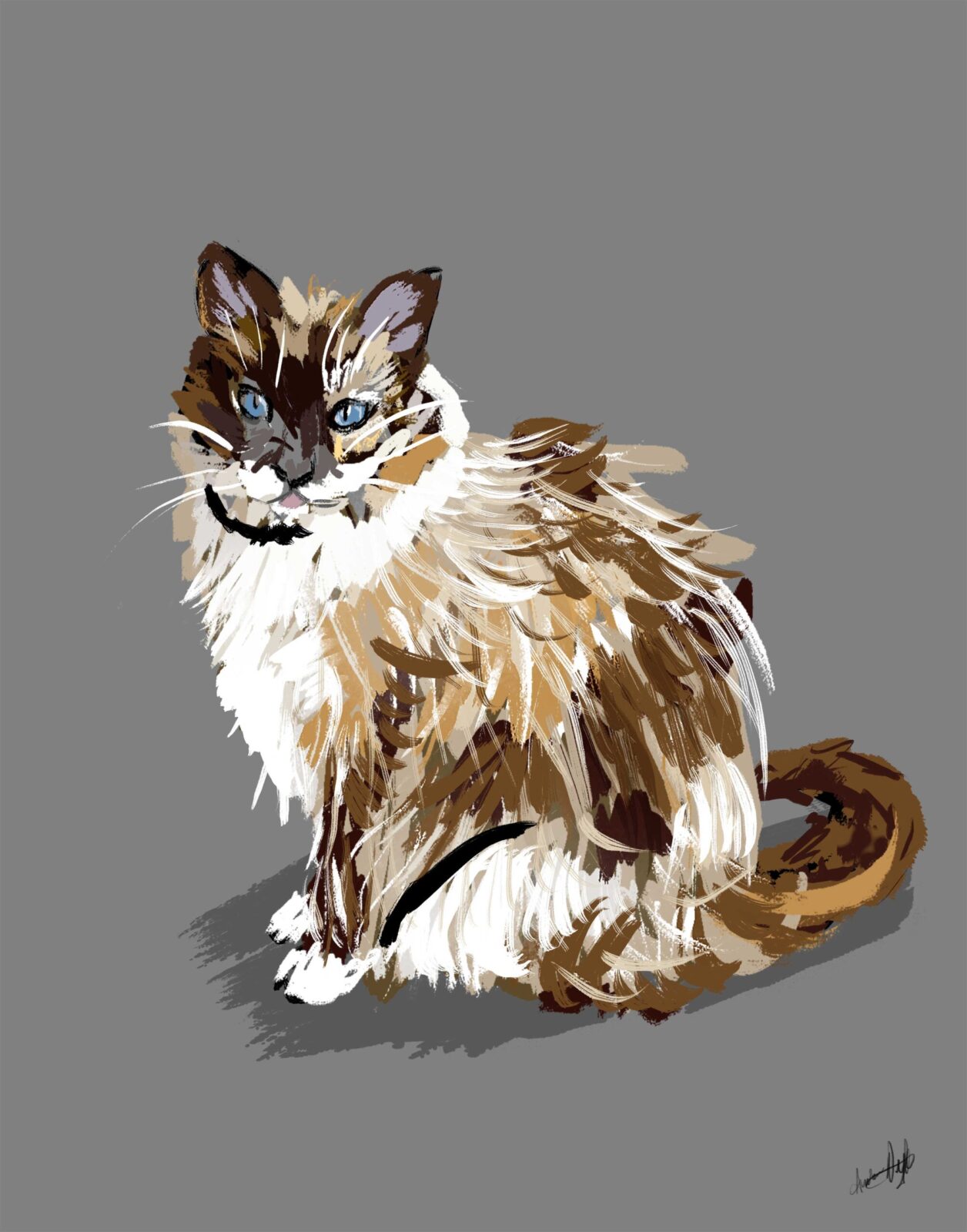 cat2