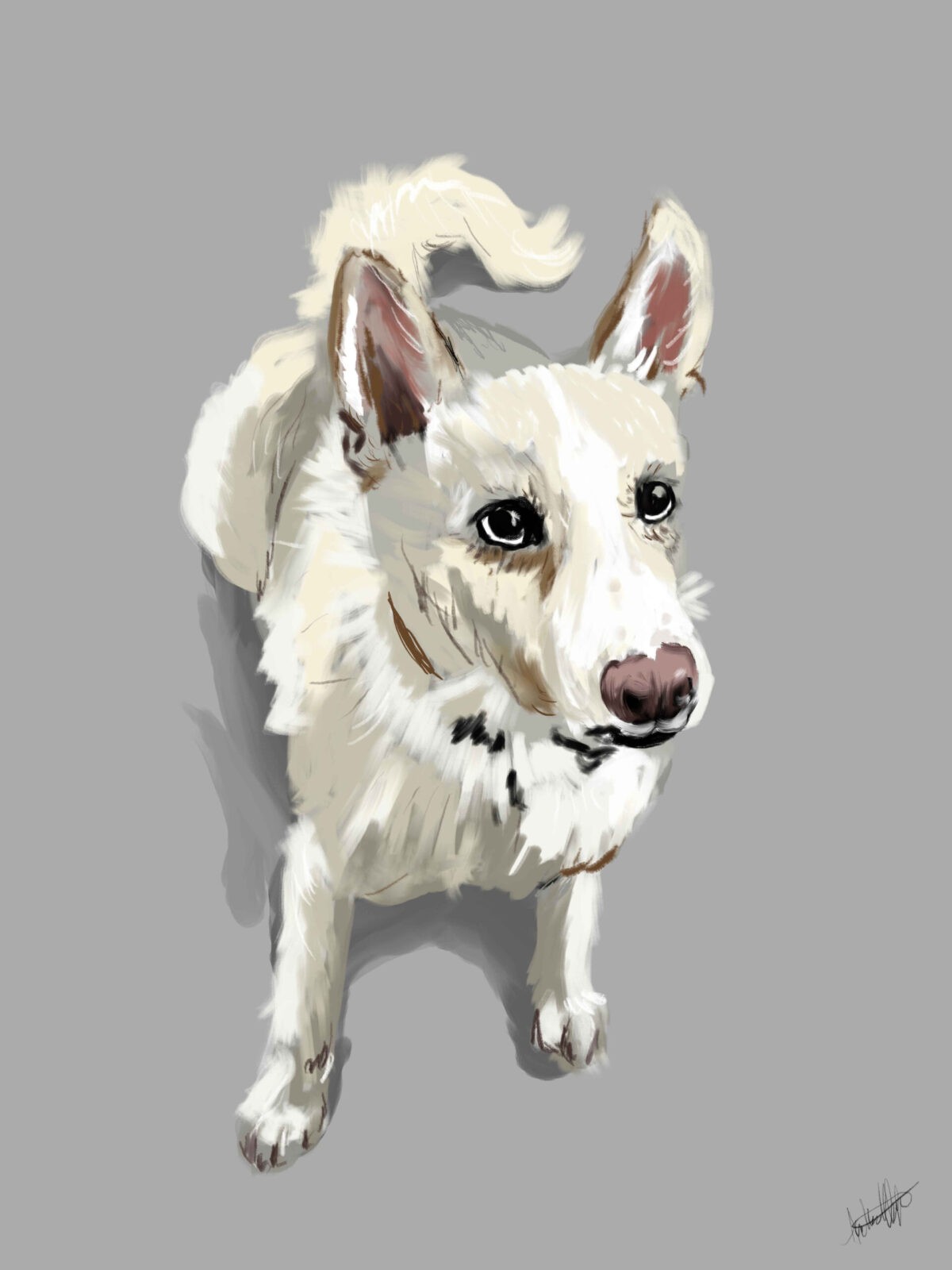 luna
